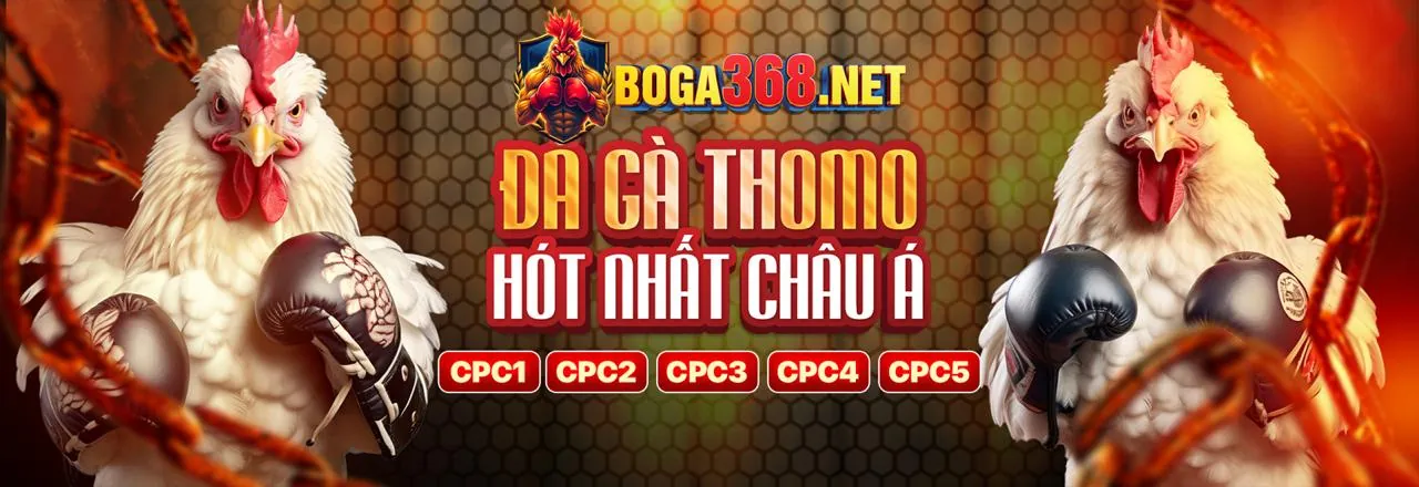 Đá Gà Trực Tuyến Hấp Dẫn tại AV888 Nhà Cái